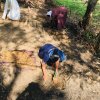 ‘Haritha Deyak’ National Home Gardening Program